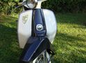 PUCH R 50 V