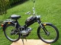 PUCH Ms50V