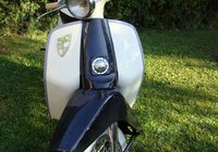 PUCH R 50 V
